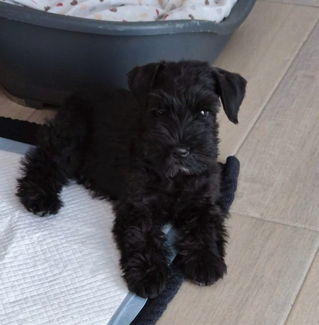 Captura de ecrã 2022-04-04, às 15.22.29