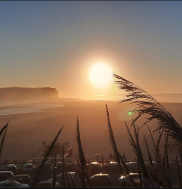 Captura de ecrã 2022-04-04, às 15.32.04